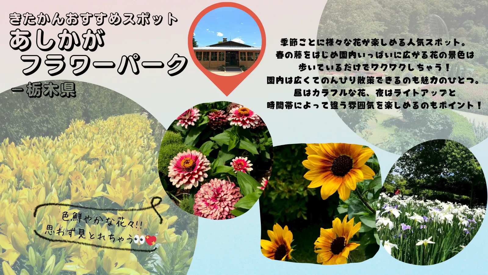 あしかがフラワーパーク